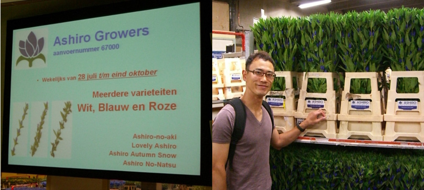 Photo: Ashiro Rindo sold in auction in Holland